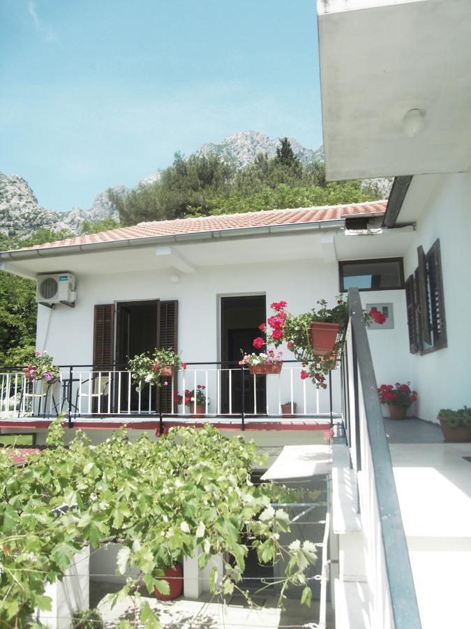 קוטור Apartment Ivana מראה חיצוני תמונה