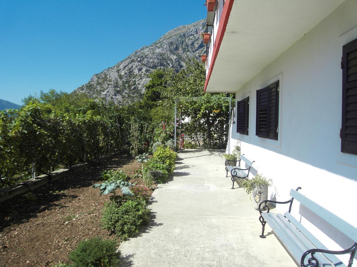 קוטור Apartment Ivana מראה חיצוני תמונה
